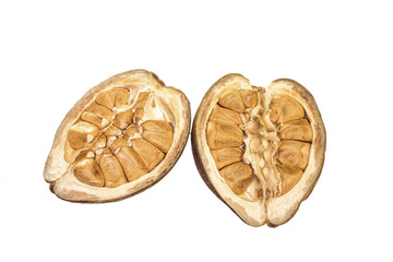 exotic food of brasil, the chestnut monguba, scientific name Pachira aquatica Aubl, also known as Maranhão chestnut and wild cocoa. It is a tree of the family Malvaceae or Bombacaceae