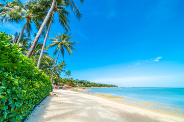 Obraz na płótnie Canvas Beautiful tropical beach sea and sand with coconut palm tree on blue sky and white cloud