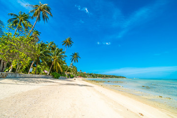 Beautiful tropical beach sea and sand with coconut palm tree on blue sky and white cloud