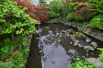 日本の美しいばらの寺