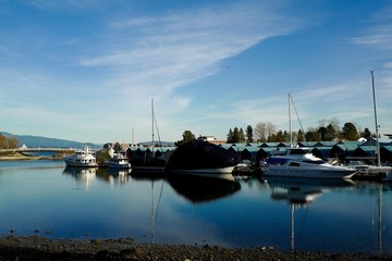 Fototapeta na wymiar Marina in Stanley Park, Vancouver