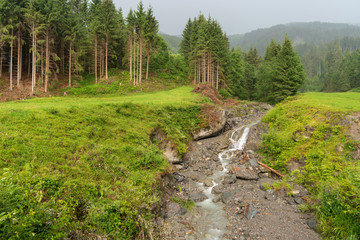 Fototapeta na wymiar Kleiner Bach im Wald