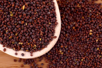 Black (brown) indian mustard seeds (Brassica nigra Koch) in wooden spoon, copy space. Healthy nutrition, cosmetics, herbal medicine concept. Food  photography. Top view, flat lay