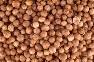Coriander seeds (Coriandrum sativum) background, copy space. Healthy and vegetarian food, dieting concept. Food photography, texture. Top view, flat lay. Flax seed pattern