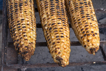 El maíz se está dorando al carbón para la cena.