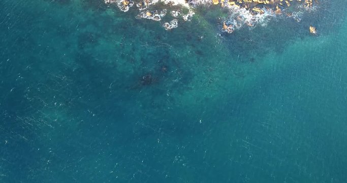 Vertical panorama from surf of Pacific ocean breaking cliffs of Barrenjoye Head up to Lighthouse on the top and to distant Palm beach.
