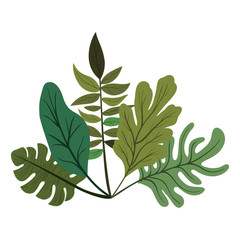 branch with leafs ecology icon vector illustration design