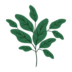 branch with leafs ecology icon vector illustration design