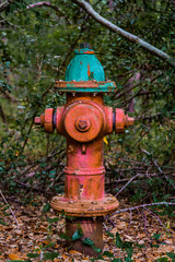 Fototapeta premium Hydrant