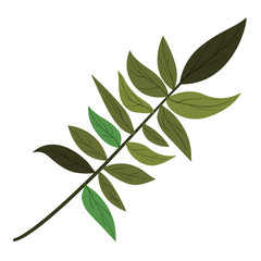 branch with leafs ecology icon vector illustration design