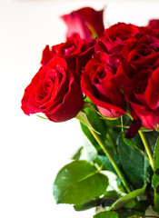 bouquet of red roses