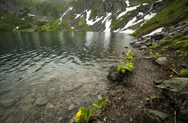 cold mountain lake, snowfields and glaciers in the mountains,  lake in the mountains, wildlife