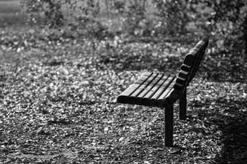 empty park bench