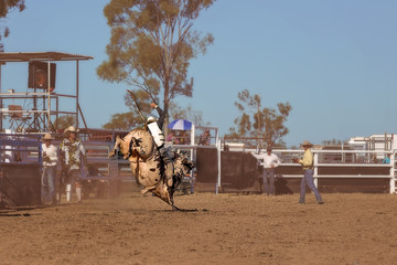 Cowboy Competing In A Bull Riding Event At A Country Rodeo