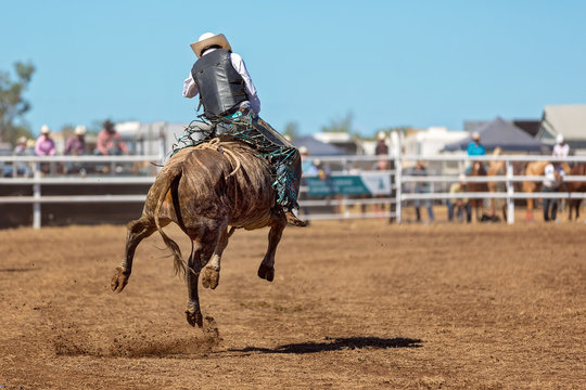 Cowboy Riding A Bucking Bull At A Country Rodeo