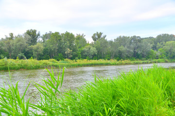 Morning on the river