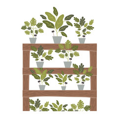 shelving with houseplants icon vector illustration design
