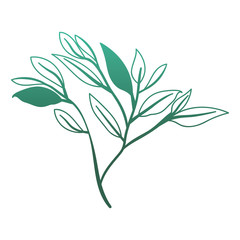branch with leafs ecology icon vector illustration design