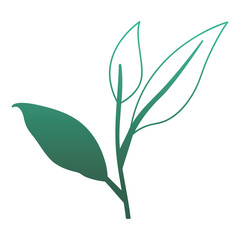 branch with leafs ecology icon vector illustration design