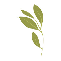 branch with leafs ecology icon vector illustration design