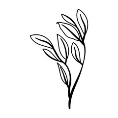 branch with leafs ecology icon vector illustration design