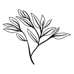 branch with leafs ecology icon vector illustration design