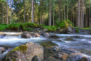 Kleiner kalter Gebirgsbach der sich durch den regennassen dichten Wald schlängelt