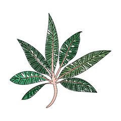 branch with leafs ecology icon vector illustration design