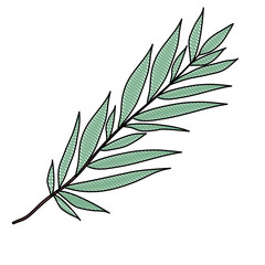 branch with leafs ecology icon vector illustration design