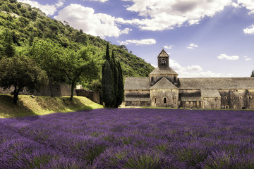 Abbaye Notre-Dame de S&eacute;nanque