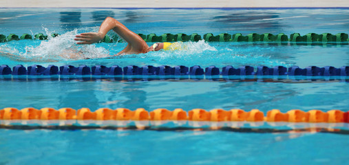 Swimmers swim free style, front crawl or forward crawl stroke in a swimming pool for competition or race