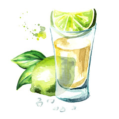 Tequila shot with fresh green lime and salt. Hand drawn watercolor  illustration isolated on white background