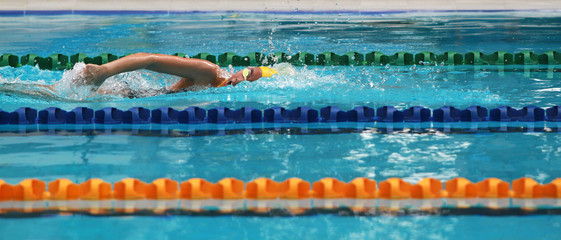 Swimmers swim free style, front crawl or forward crawl stroke in a swimming pool for competition or race