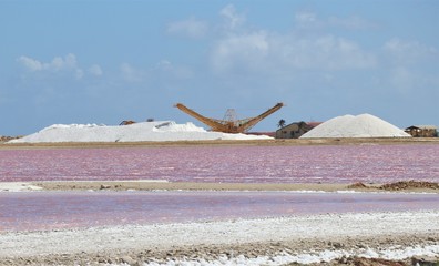 Sea salt piles for harvesting on the island of Bonaine