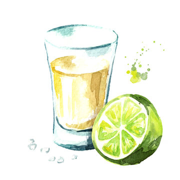 Tequila  shot with lime and salt. Hand drawn watercolor  illustration isolated on white background