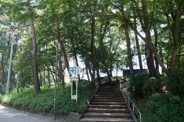 Fototapeta premium 金ケ作公園 外観 千葉県松戸市常盤平