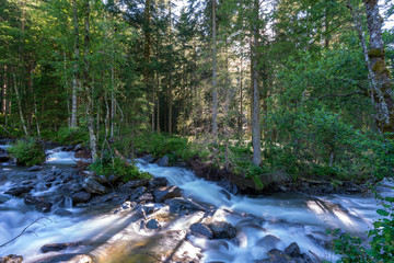 Bach mit Bäume am Ufer