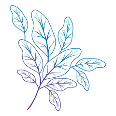 branch with leafs ecology icon vector illustration design