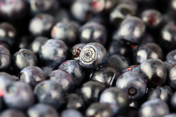 Blueberry blueberries background, close-up