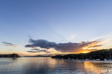 Waiheke Island, Auckland, New Zealand