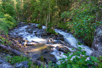 Obraz premium Bach mit Bäume am Ufer Und kleiner Insel