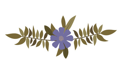 beautiful flower and leafs wreath vector illustration design