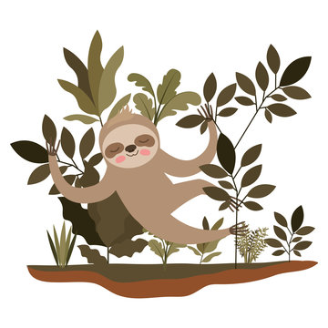 wild sloth in the jungle scene vector illustration design