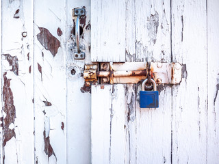 Old wooden paddock door with white peeling paint secured by a blue metal lock.