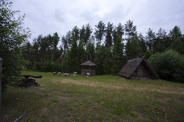 Fototapeta na wymiar Field, hives and forest houses by the forest