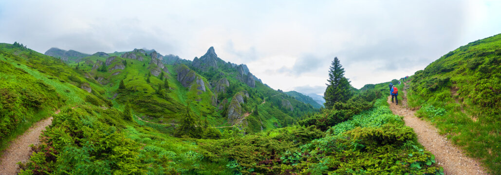 Hikers going to Mount Ciucas peack on summer
