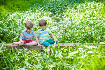 Two cute little boys sitting on a wooden bridge