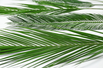 Beautiful tropical leaves on table, closeup