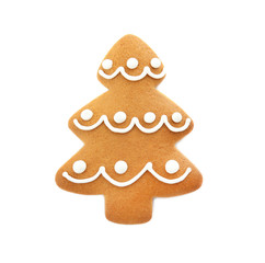 Tasty homemade Christmas cookie on white background