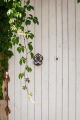 Close up of white wooden door, Lourmarin, Provence, France